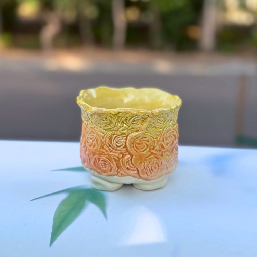 Decorative ceramic pot with textured rose design on a light surface